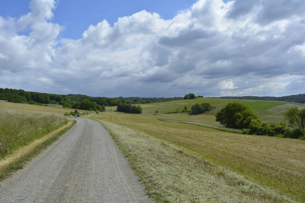 Weg